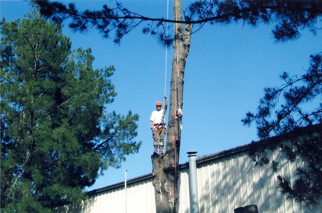 Pope Tree Service Photos & Videos – Pope Valley Tree